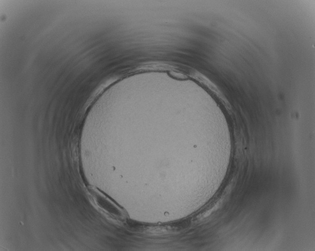 X0000073411049200608251520