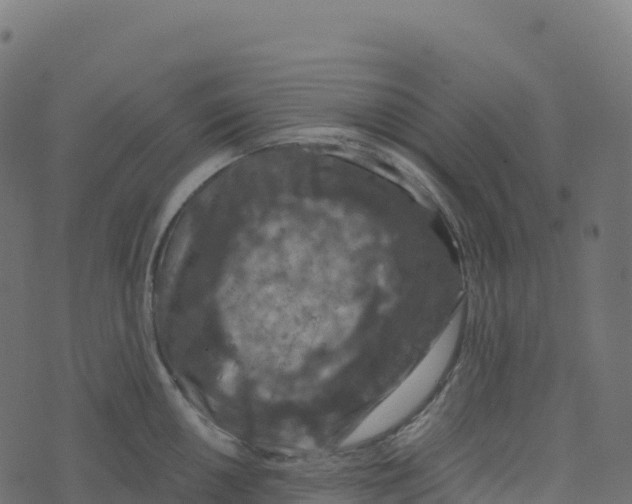 X0000073411050200608251520