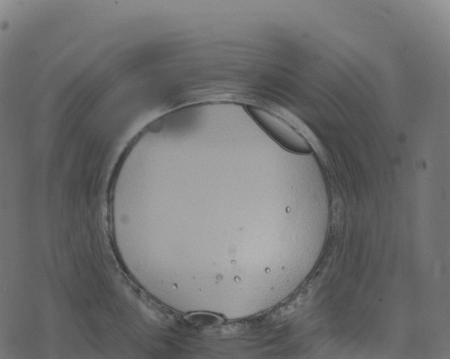 X0000073411051200608251520