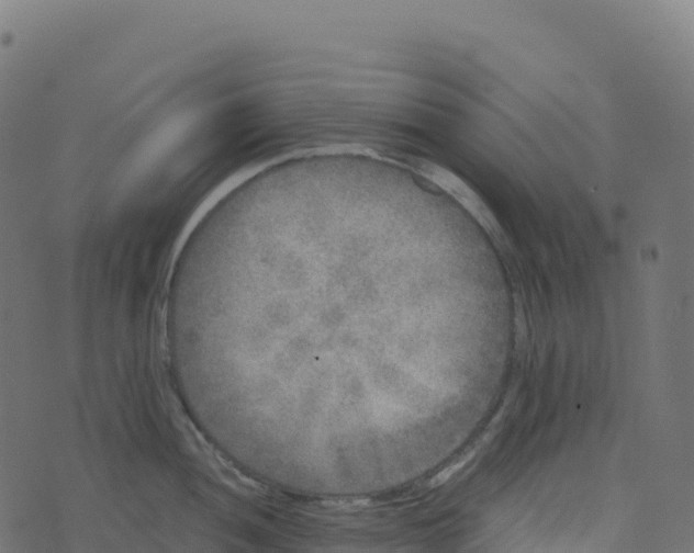 X0000073411052200608251520