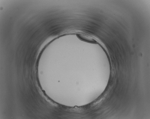 X0000073411053200608251520