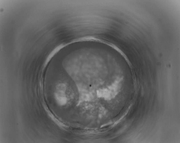 X0000073411054200608251520