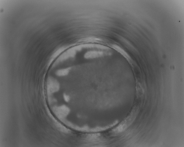 X0000073411055200608251520