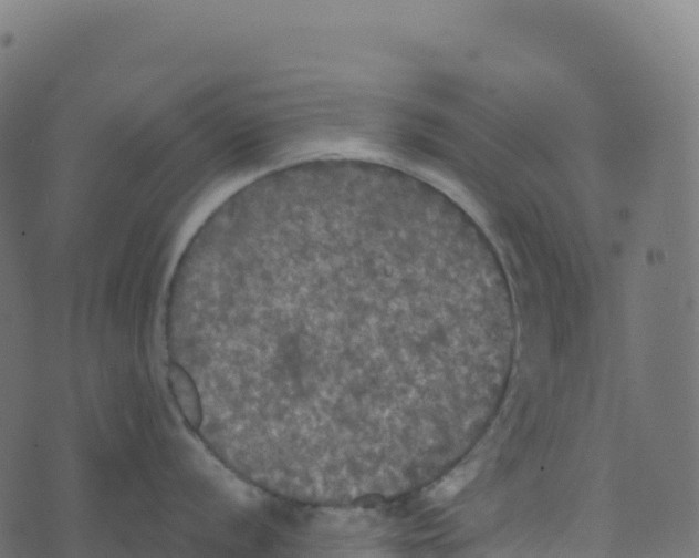 X0000073411056200608251520