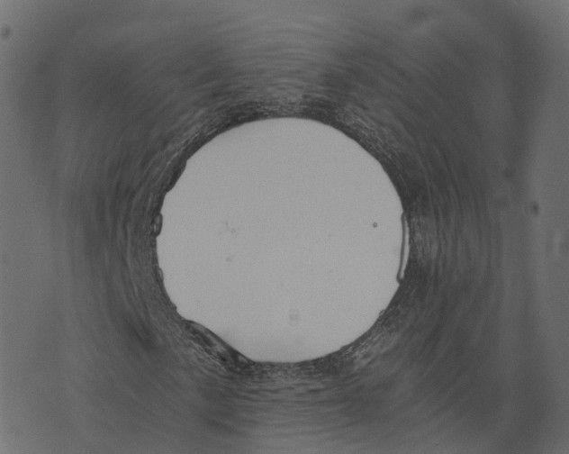 X0000073411057200608251519