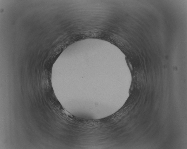 X0000073411058200608251519