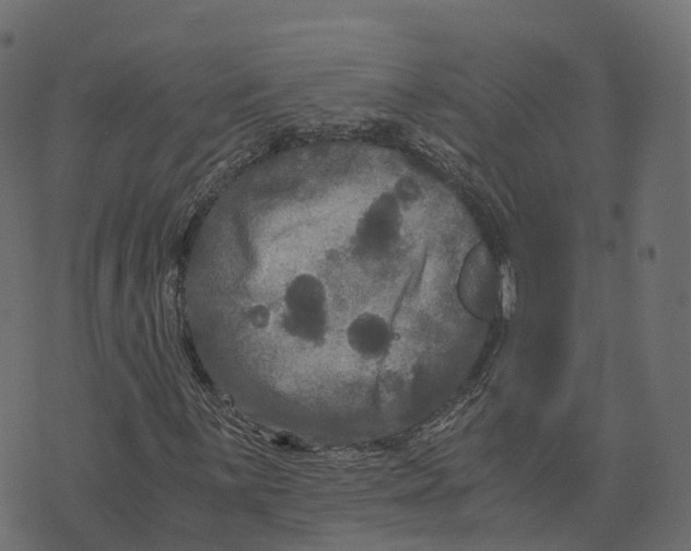 X0000073411059200608251519