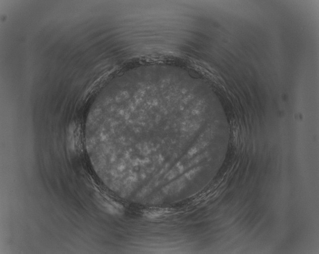 X0000073411060200608251519