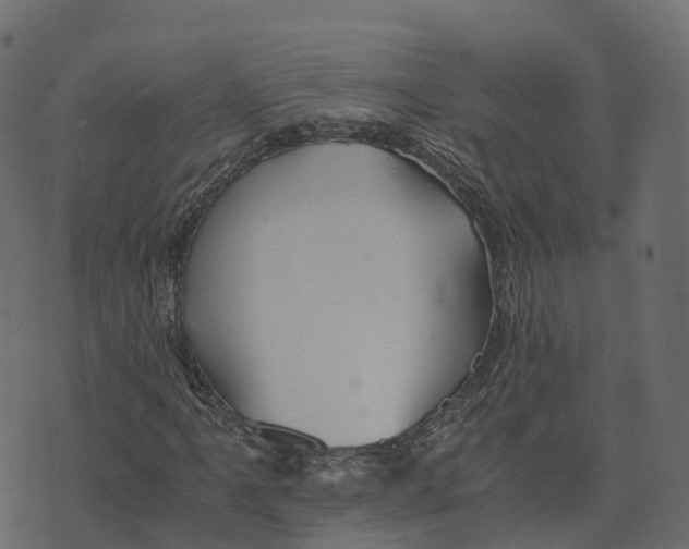 X0000073411061200608251519