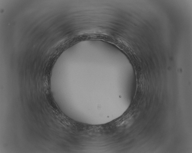 X0000073411062200608251519