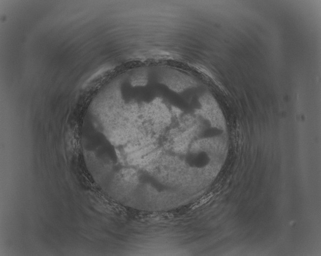 X0000073411063200608251519