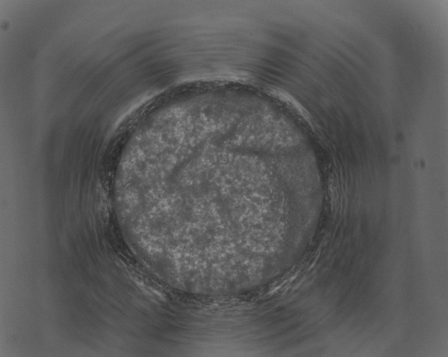 X0000073411064200608251519