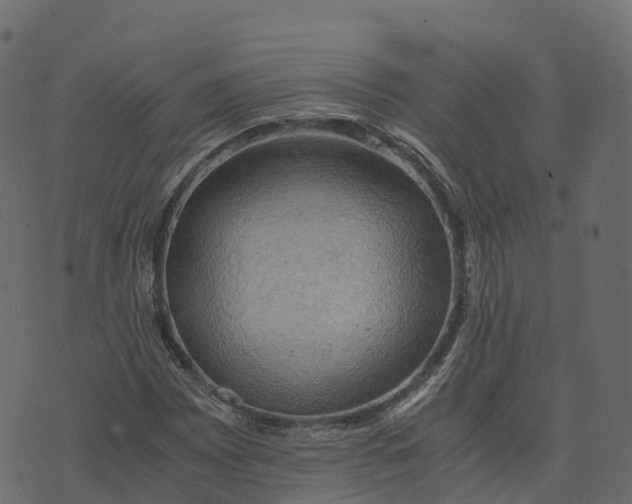 X0000073411065200608251519