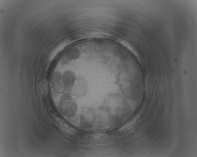 X0000073411067200608251519