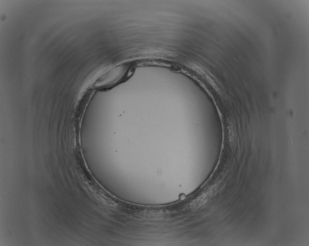 X0000073411069200608251519