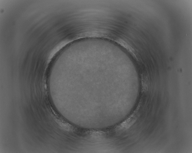 X0000073411070200608251519