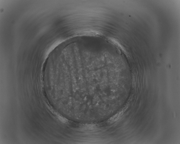 X0000073411071200608251519