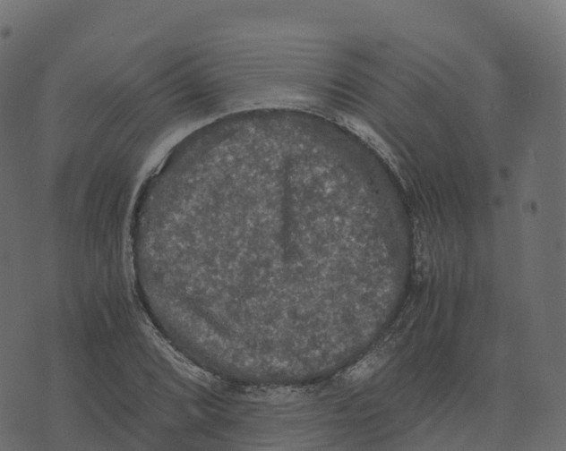 X0000073411072200608251519