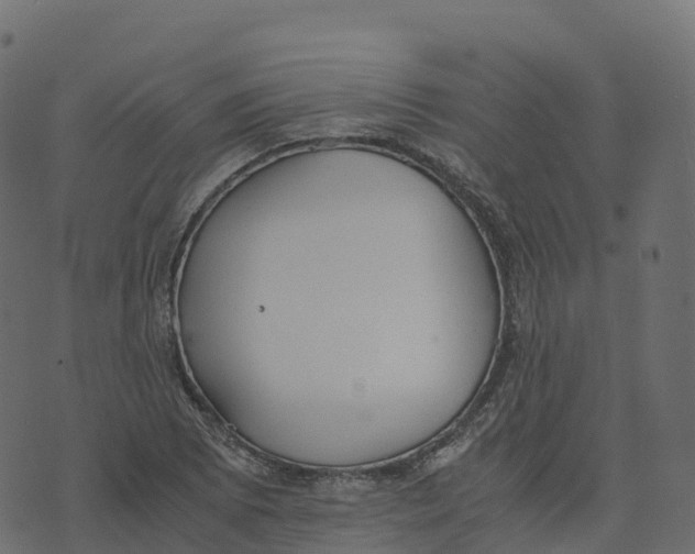 X0000073411073200608251519