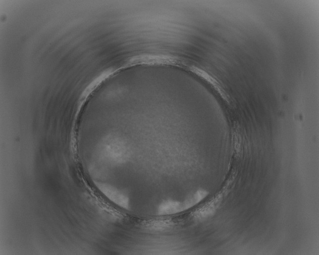 X0000073411074200608251519