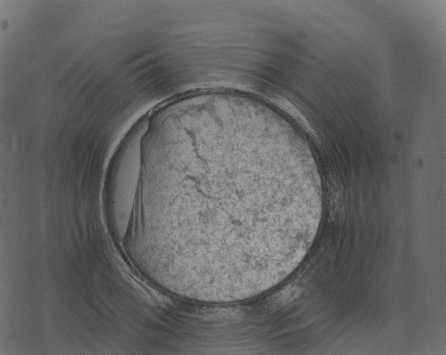 X0000073411076200608251519