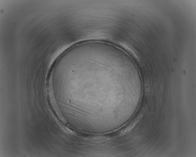 X0000073411077200608251519