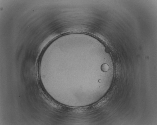 X0000073411078200608251519