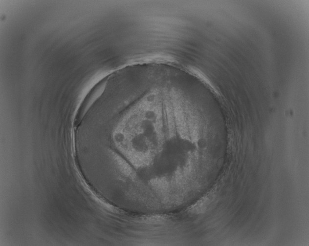 X0000073411079200608251519