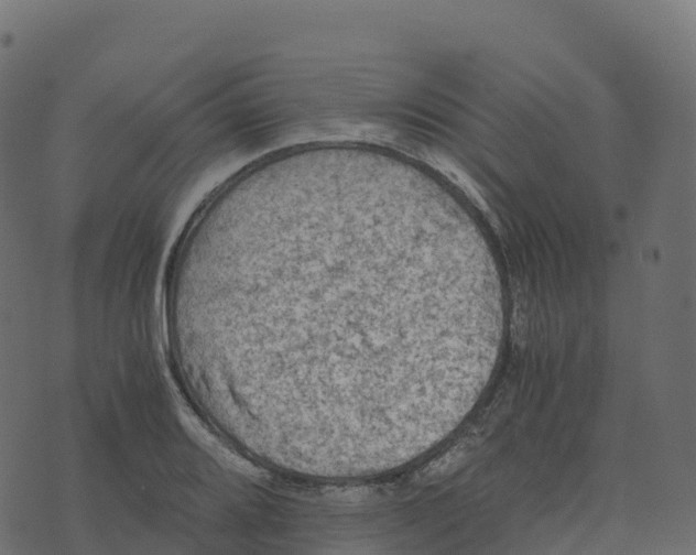 X0000073411080200608251519