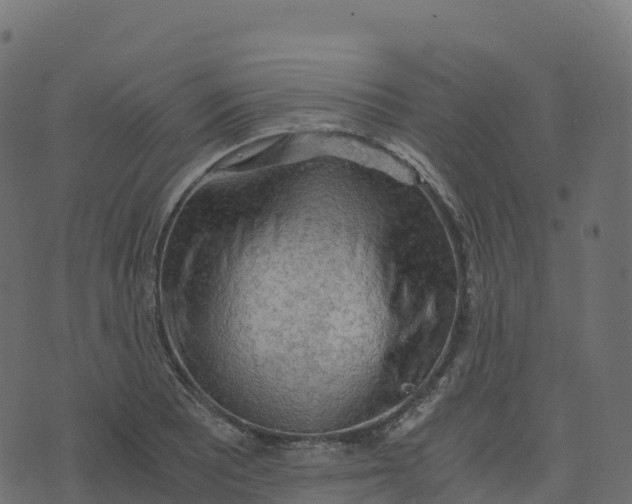 X0000073411081200608251519