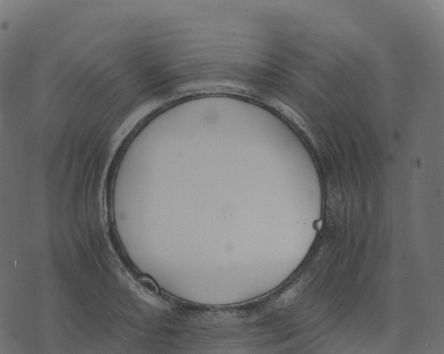 X0000073411082200608251519