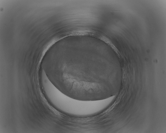 X0000073411083200608251519