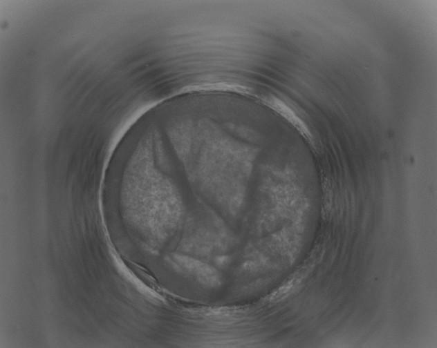 X0000073411084200608251519