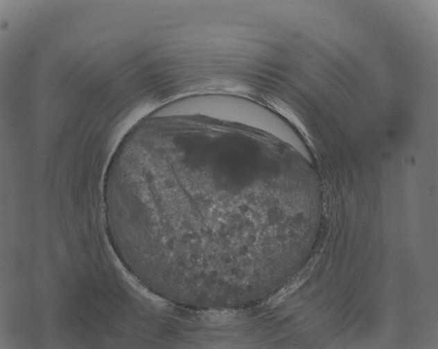 X0000073411087200608251519