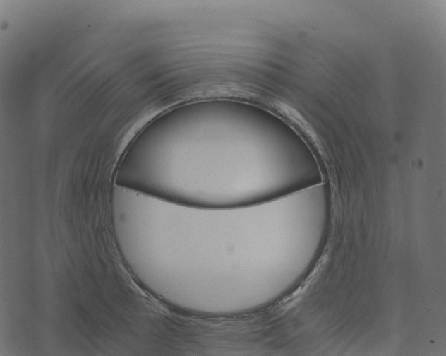 X0000073411089200608251518