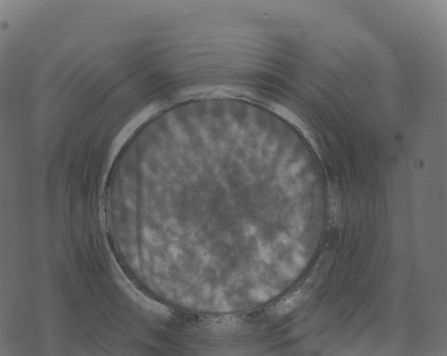 X0000073411090200608251518