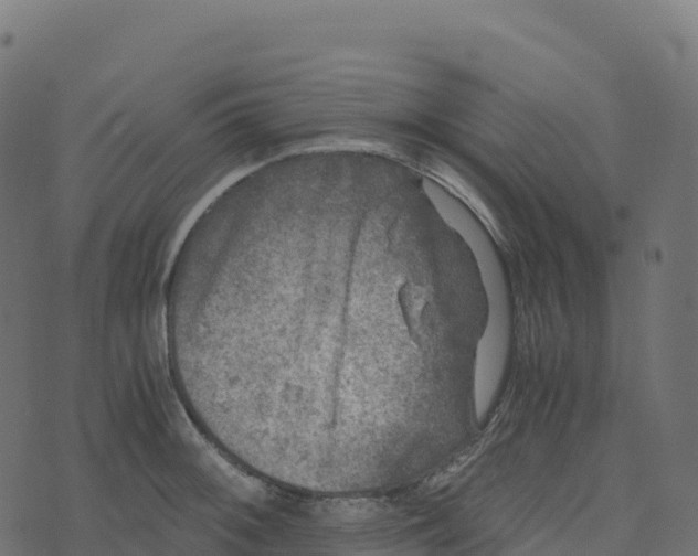 X0000073411092200608251518