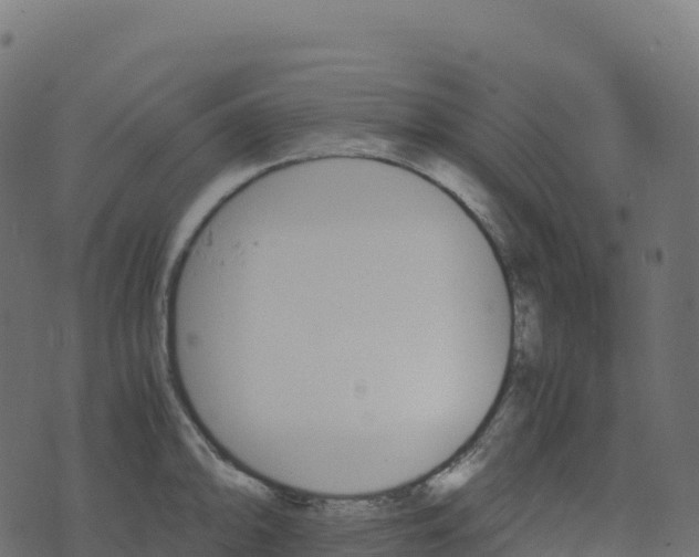 X0000073411094200608251518