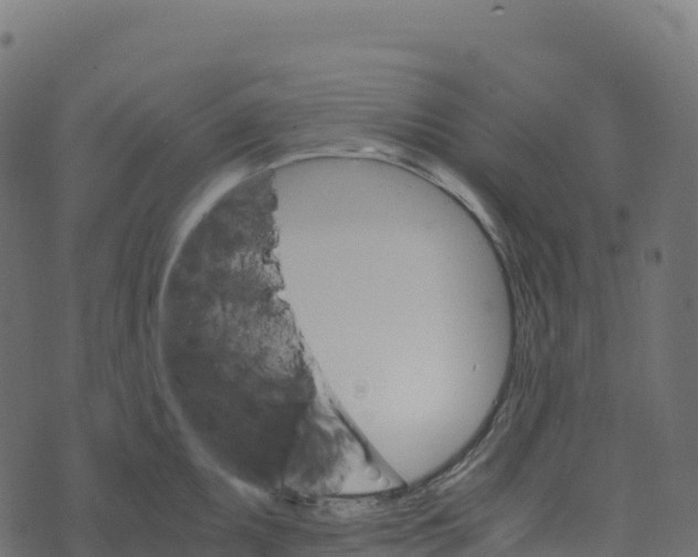 X0000073411095200608251518