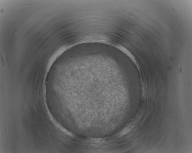 X0000073411096200608251518