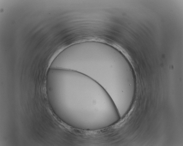 X0000073411097200608251518