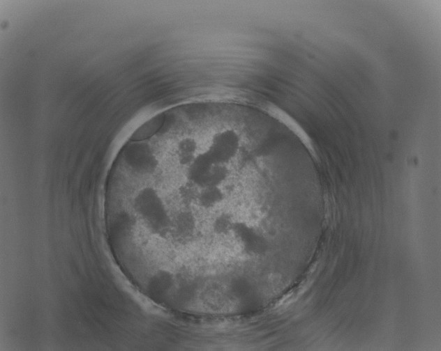 X0000073411099200608251518