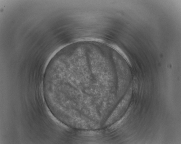 X0000073411100200608251518