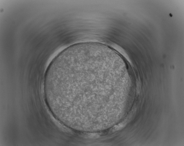 X0000073411101200608251518