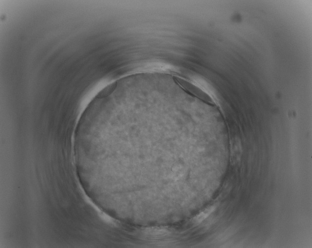 X0000073411103200608251518