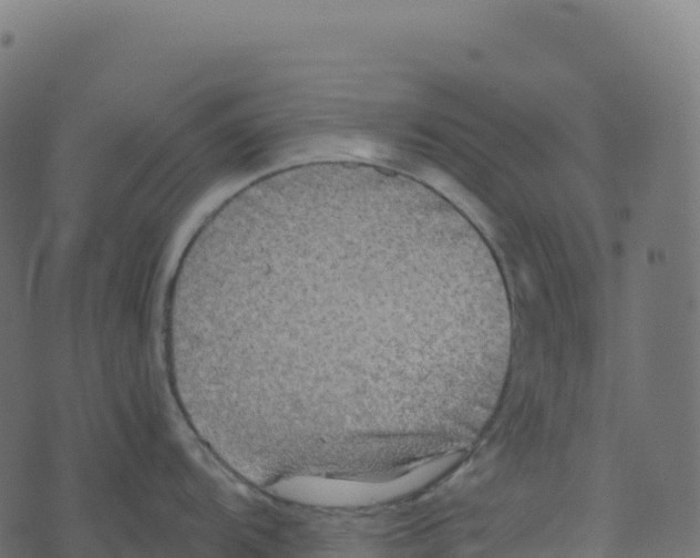 X0000073411104200608251518