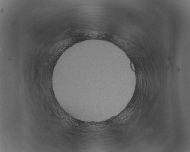 X0000073411105200608251517