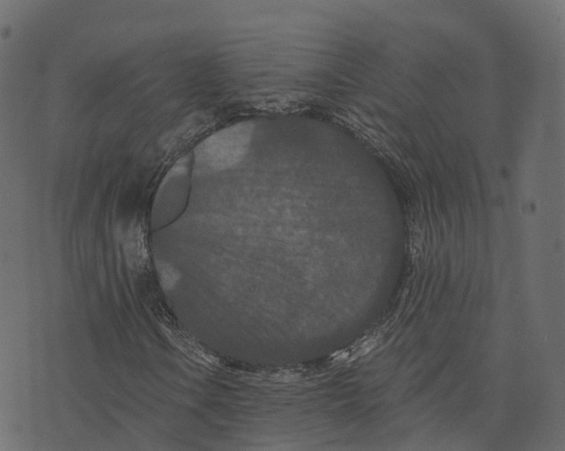 X0000073411106200608251517