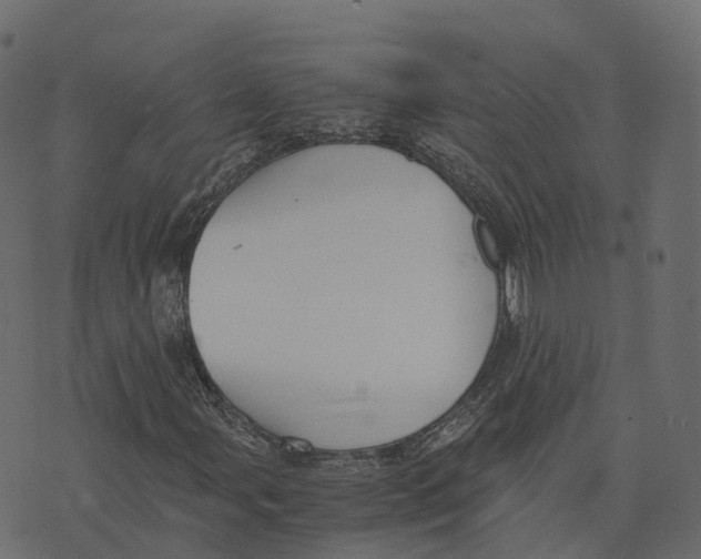 X0000073411107200608251517