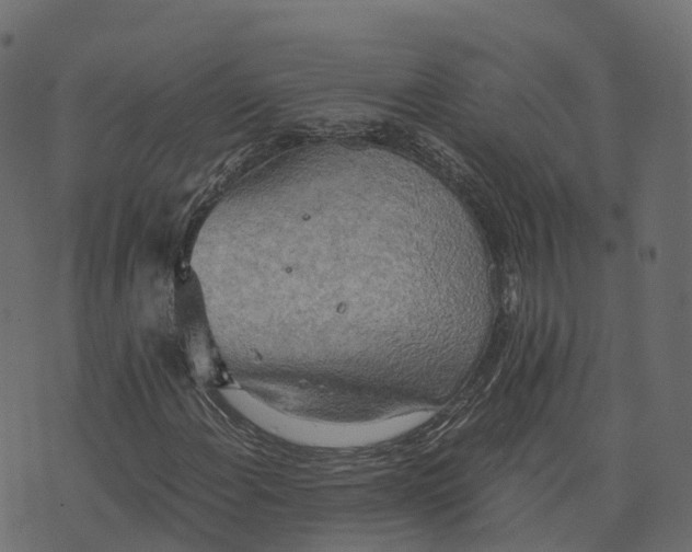 X0000073411108200608251518